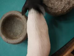 -淀里船宴(裕华东路店)
