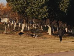 -滨江生态公园
