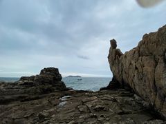 -摩天岭风景区