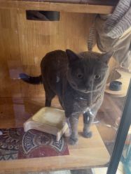 -青木造型HAIR·あおき髪を刈る潮人店