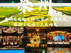 -溱湖国家湿地公园