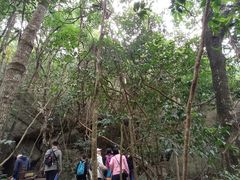 -象头山国家级自然保护区