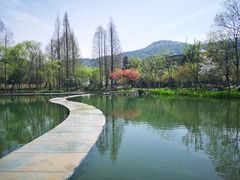 -西溪国家湿地公园