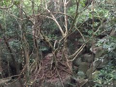 -七仙岭温泉国家森林公园