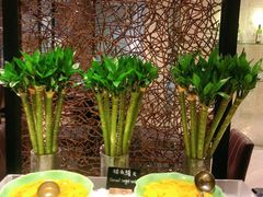 -索菲特酒店·海鲜自助 ·聚餐厅