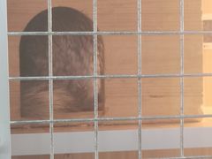 -喵园·猫主题咖啡厅·撸猫·猫咖(国贸店)