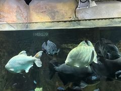 -嘉兴海底世界
