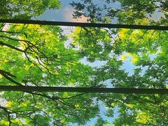 -水云空涧·沐足·采耳·按摩·SPA影院(琶洲店)