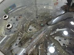 -船奇蒸汽海鲜·闽菜(八市海鲜总店)