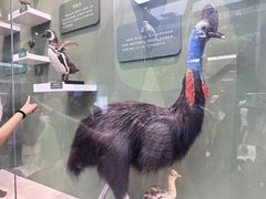 -国家自然博物馆