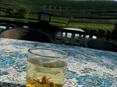 -龙坞茶村