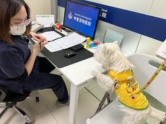 -申普宠物医院·心脏介入·心血管微创(总院)