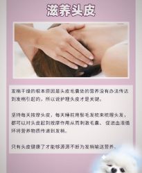 -Bollins波林丝•专研护发中心