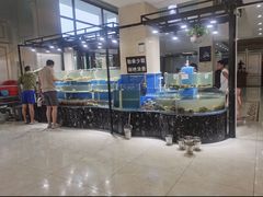 -四海蒸鲜蒸汽海鲜自助(北戴河店)