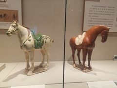 -深圳博物馆(古代艺术馆)