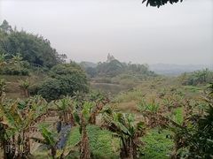 -天强农家菜馆