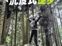 -土桥手掌鸡·26年灌县老味道(都江堰店)