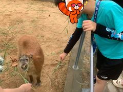 -西霞口神雕山野生动物世界