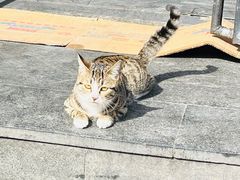 -春熙路步行街