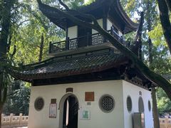 -汇龙潭