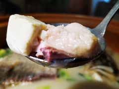 姜君千岛湖鱼头-姜君·千岛湖鱼头馆(浦东大道店)