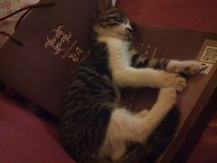 android_upload_pic-公社食堂(牧电路店)