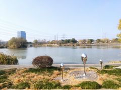 -九里河湿地公园