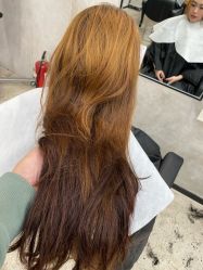 -蚂蚁造型俱乐部