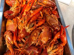 清水小龙虾-海江5号