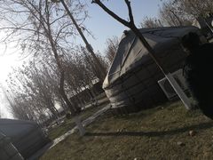 -九十九顶毡房(阜石路店)