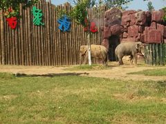 -济南方特东方神画