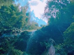 -蜀南竹海景区