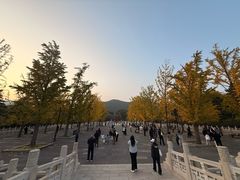 -晋祠公园