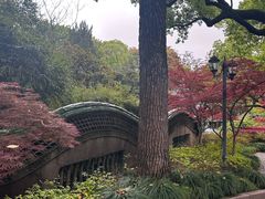 -申粤轩酒楼·三十年粤菜经典(丁香花园店)