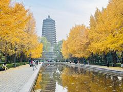 -玲珑塔公园