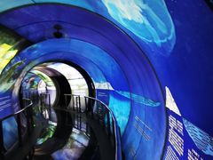 -房山世界地质公园博物馆