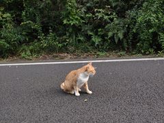 -宝界山林公园