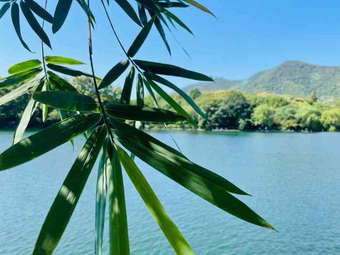 杭州虎山水库-"[调皮]虎山水库就在虎山公园里,也属于杭.