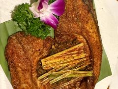 -紫滇源云南生态菜(丹凤街店)