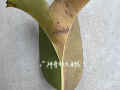-火炉山森林公园