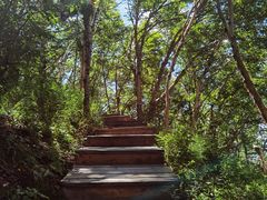 -白草畔自然风景区