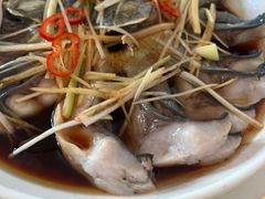 -煲来饱去冷水鱼