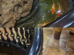 -福禧酒窖·中餐厅 (万柳店)