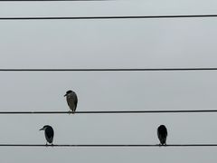 -1点点(雨花西路店)