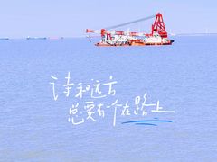 -上海滨江森林公园
