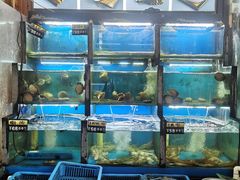 -老东镇啤酒屋海鲜加工·蒸汽海鲜·海鲜烧烤(台东店)