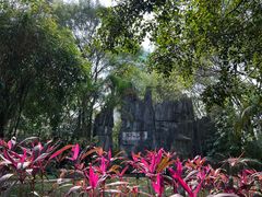 -深圳国际园林花卉博览园