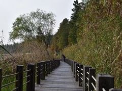 -苏州太湖湖滨国家湿地公园