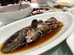 清蒸石斑鱼-燕云楼(云南路店)