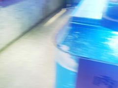 -鸽子侯·家宴·平价海鲜(绿地店)